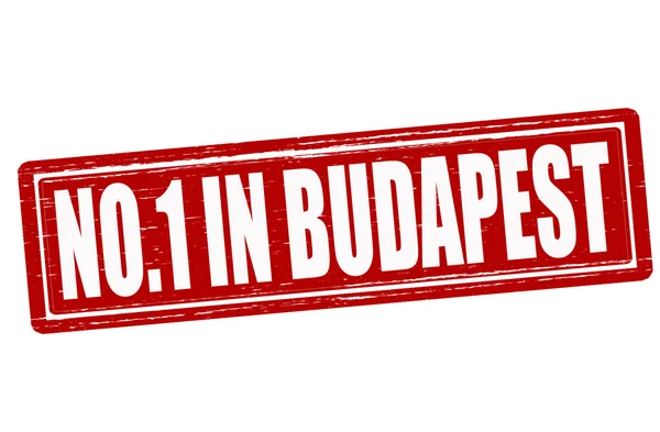 Personne à Budapest — Image vectorielle