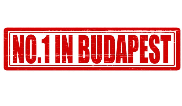 Nadie en Budapest — Vector de stock