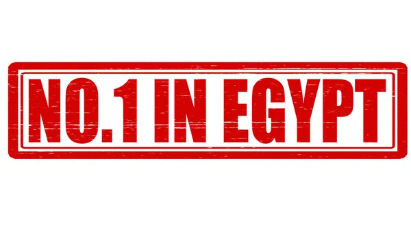 Personne en Egypte — Image vectorielle