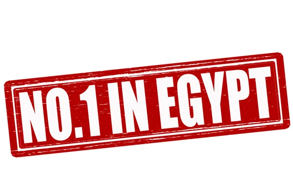 Nikdo v Egyptě — Stockový vektor