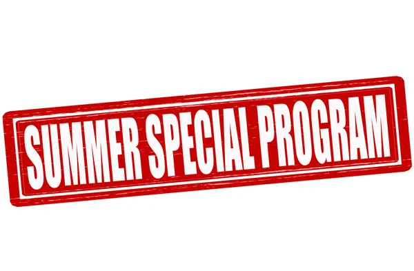 Programa especial de verano — Vector de stock