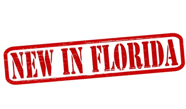 Nouveau en Floride — Image vectorielle
