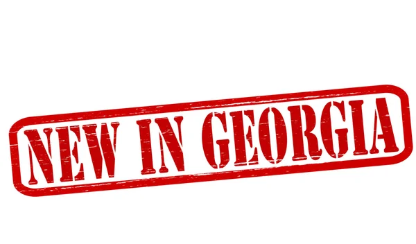 ジョージア州の新機能 — ストックベクタ