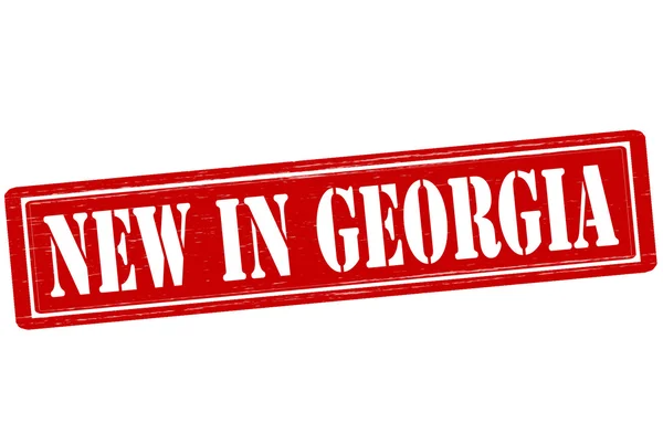 New in Georgia — Stock Vector