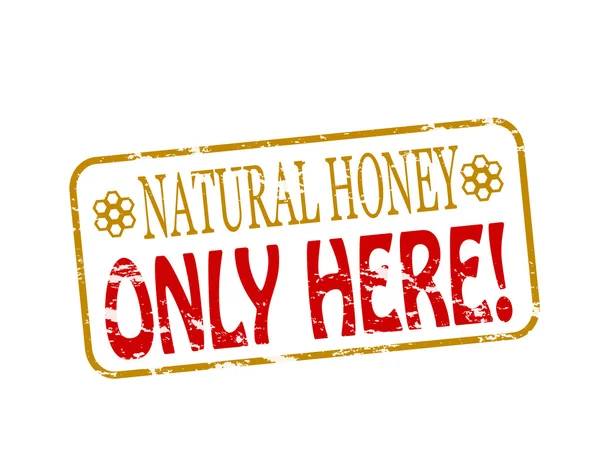 天然蜂蜜 — 图库矢量图片