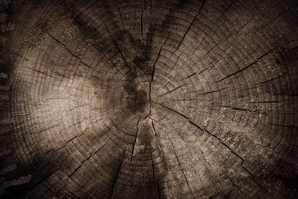 Döngüsel ahşap doku