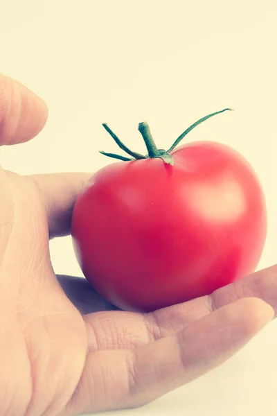 Mão segurando um tomate — Fotografia de Stock