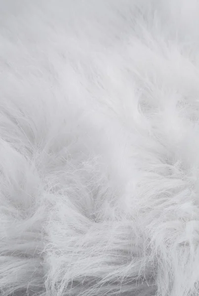 White Fur
