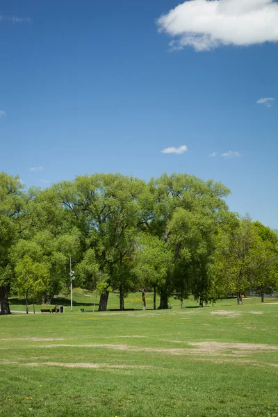 Summer in the park — Stock Photo, Image