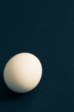 Bir yumurta.