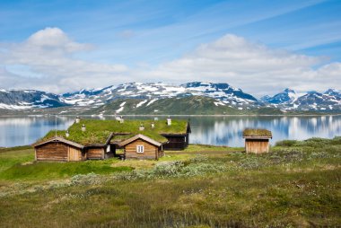Norveçli summmer evleri