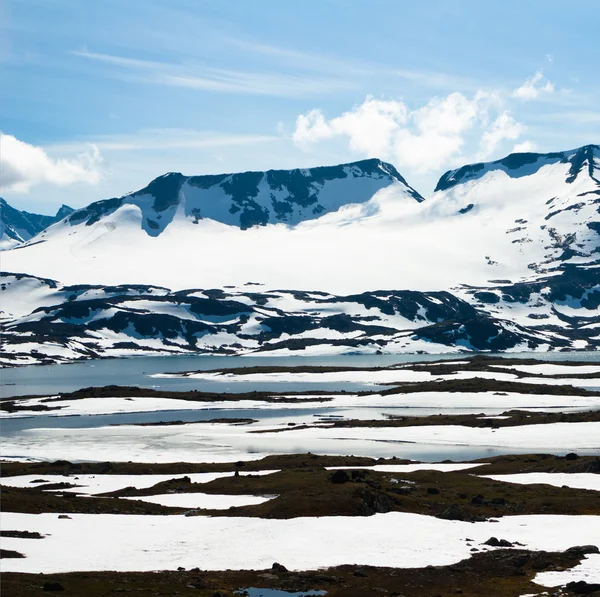 노르웨이 빙산 — 스톡 사진