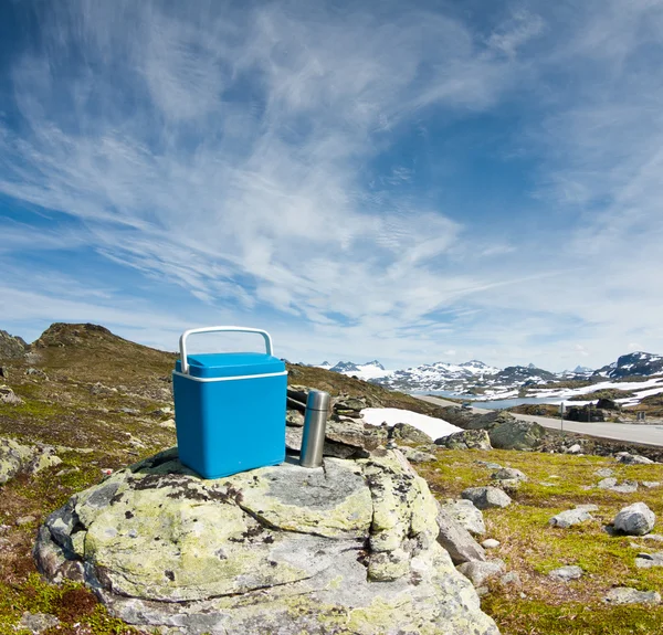 Mobil piknik buzdolabı — Stok fotoğraf