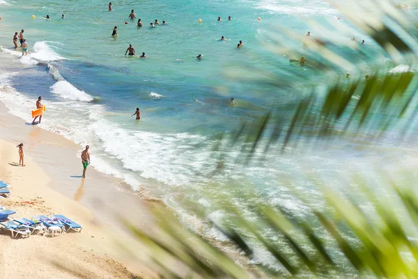 Vacaciones de lujo bajo palmeras —  Fotos de Stock