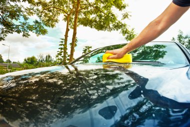 el oto yıkama sarı sünger