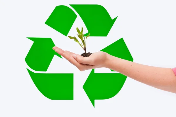 Little plant in hand with the recycling symbol — Stock Photo, Image