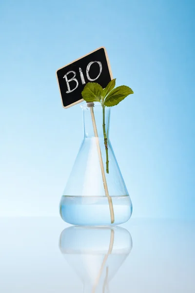 Bio och ekologisk odling — Stockfoto