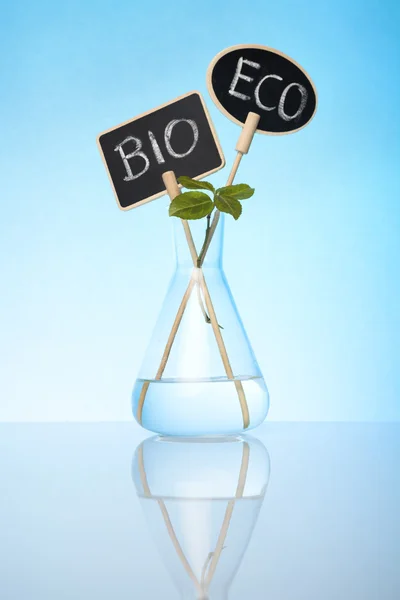 Bio e cultivo ecológico — Fotografia de Stock