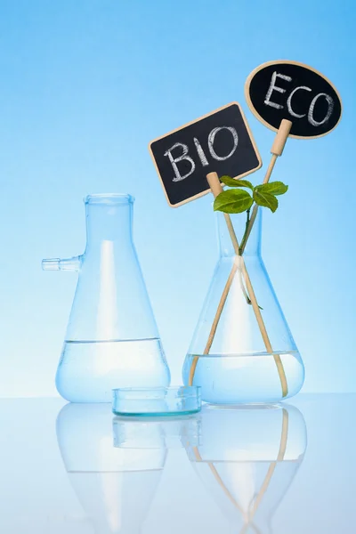 Bio e cultivo ecológico — Fotografia de Stock