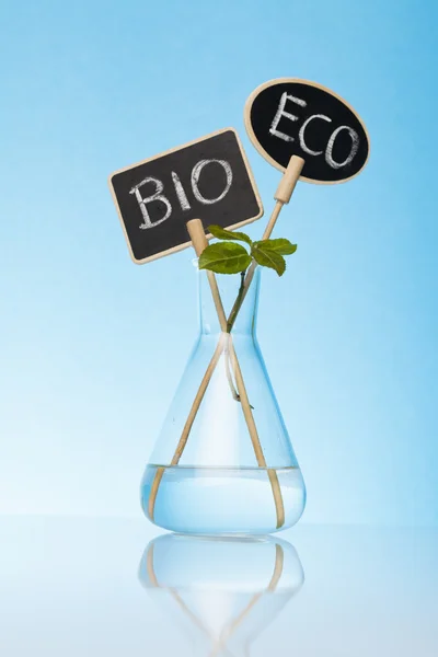 Bio en ecologische teelt — Stockfoto