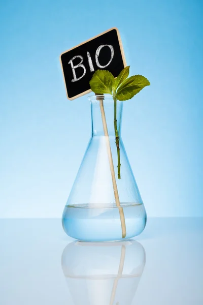 Coltivazione biologica ed ecologica — Foto Stock