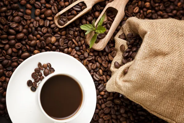 Fresh coffee — Stock Photo, Image