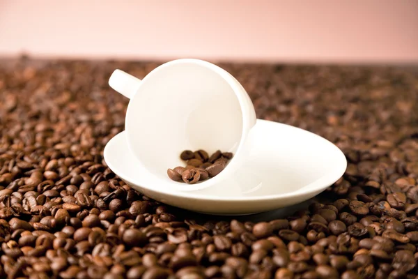 Färska kaffebönor — Stockfoto