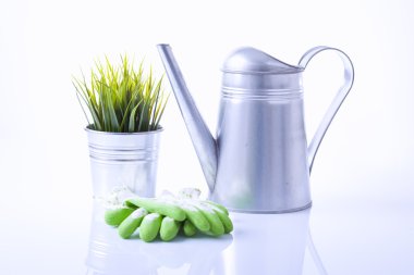 Bahçıvanlık