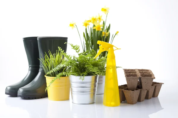 Tuingereedschap, laarzen en Lentebloemen — Stockfoto