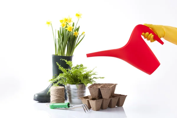 Herramientas de jardín, botas y flores de primavera — Foto de Stock