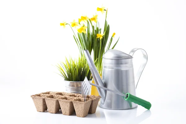 Herramientas de jardinería y flores de jardín aisladas en blanco — Foto de Stock