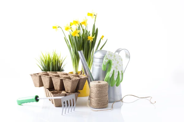 Herramientas de jardinería y flores de jardín aisladas en blanco — Foto de Stock