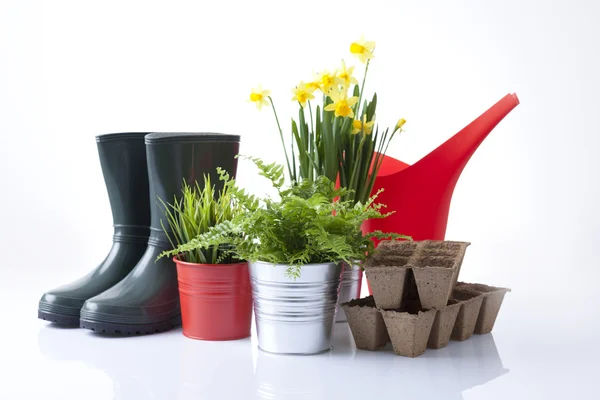 Garden tools, boots and spring flowers — Stock Photo, Image