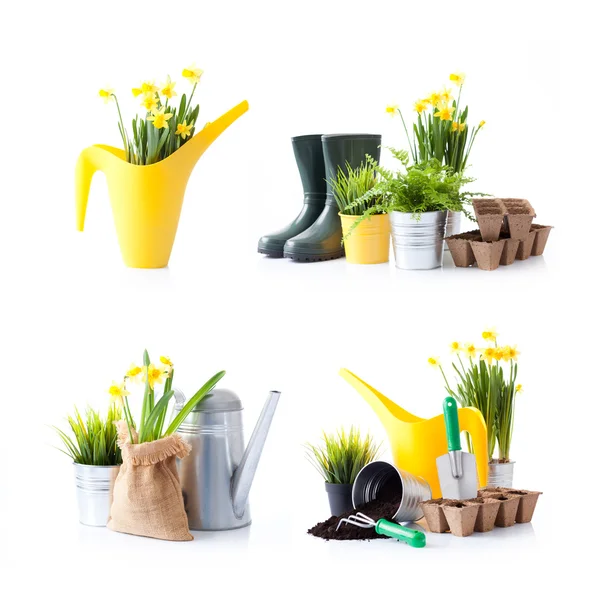 Zestaw narzędzi ogrodniczych i wiosennych kwiatów — Zdjęcie stockowe