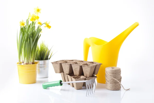 Attrezzi da giardinaggio e fiori da giardino isolati su bianco — Foto Stock