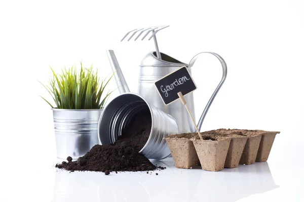 Bahçe aletleri ve bahçe çiçekleri beyaz izole