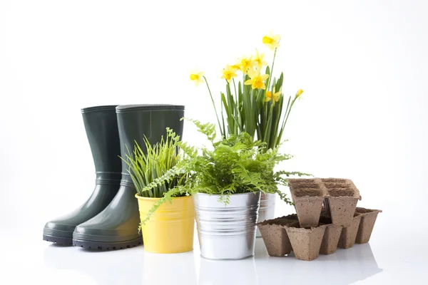 Herramientas de jardinería y flores — Foto de Stock