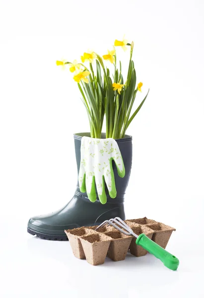 Tuingereedschap en bloemen — Stockfoto