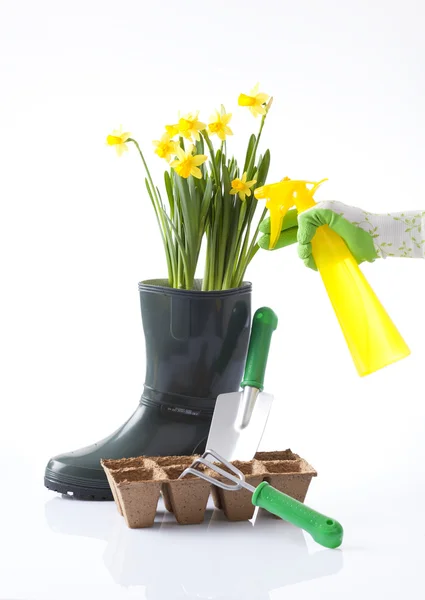 Trädgårdsarbete koncept med en person som vattning vårblommor — Stockfoto