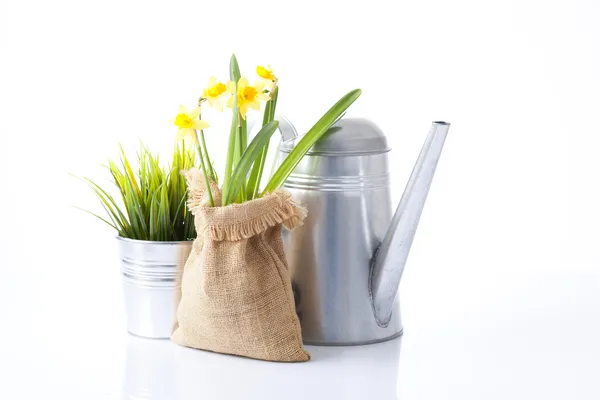 Attrezzi da giardinaggio e fiori da giardino isolati su bianco — Foto Stock