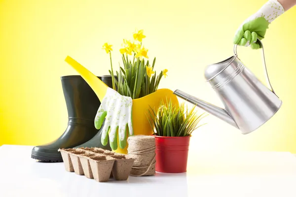 Jardinería de primavera —  Fotos de Stock