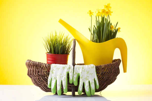 Panier en osier avec gants de jardin et fleurs de printemps — Photo