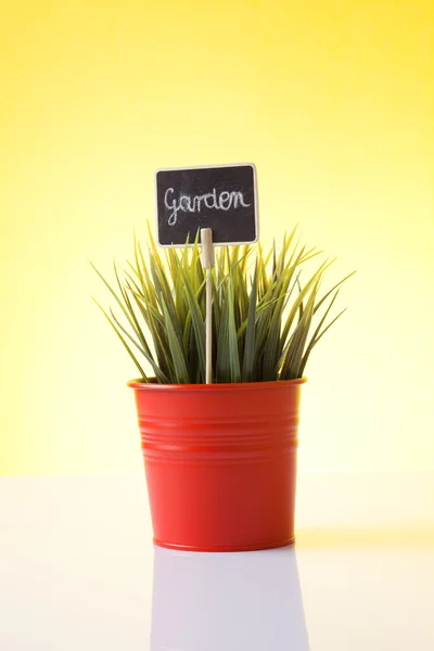 Attrezzi da giardinaggio e fiori da giardino — Foto Stock