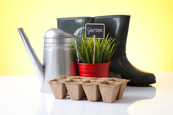 Regadera, botas de jardín y plantas de la casa — Foto de Stock