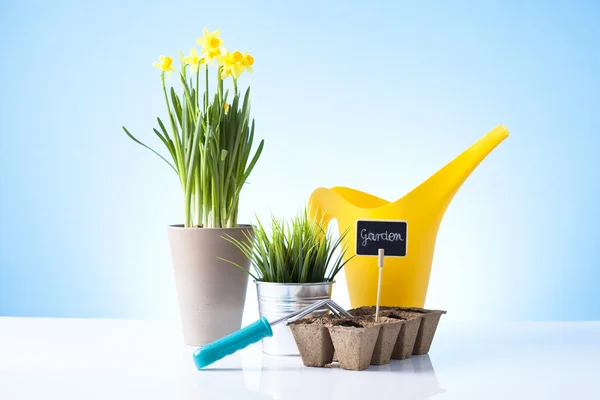 Gartenkonzept — Stockfoto