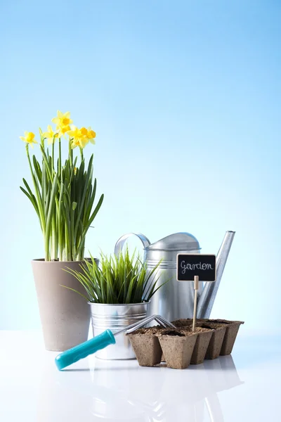 Concepto de Jardinería — Foto de Stock