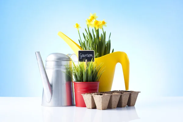 Daffodil flowers and garden equipment — Stock Photo, Image