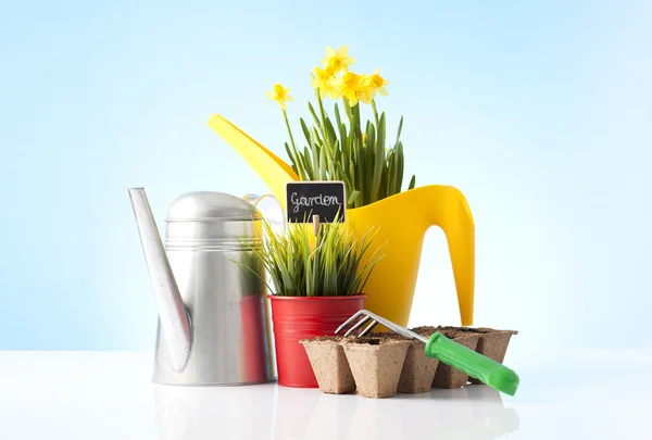 Daffodil flowers and garden equipment — Stock Photo, Image