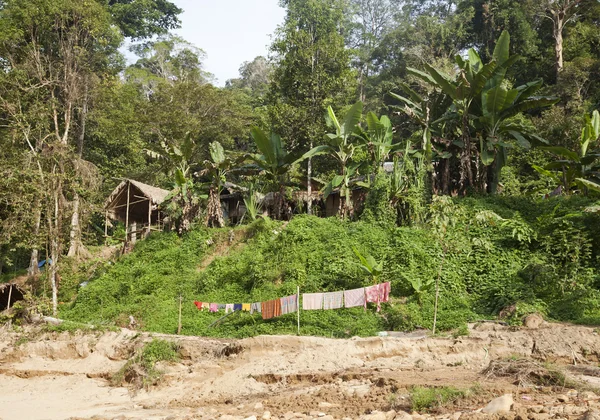 Orang Aslı, Taman Negara, Malezya 'daki köyünde