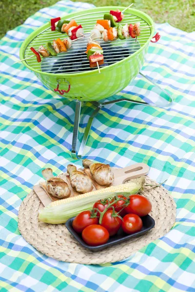 Picnic con parrilla de barbacoa, concepto de celebración —  Fotos de Stock